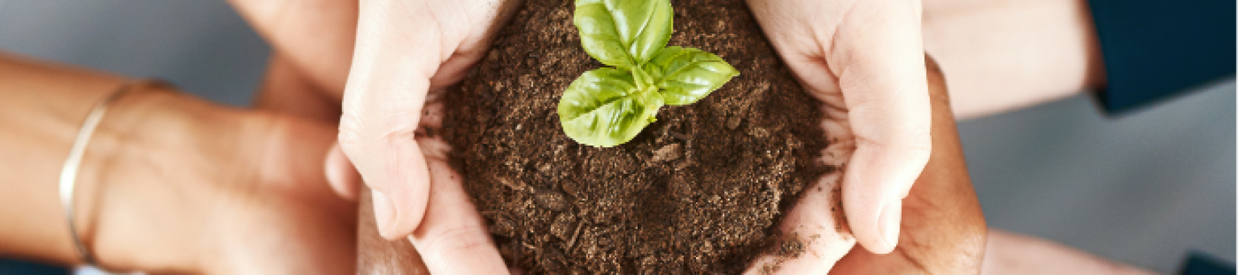 센터홈피_pc 1920 (2)